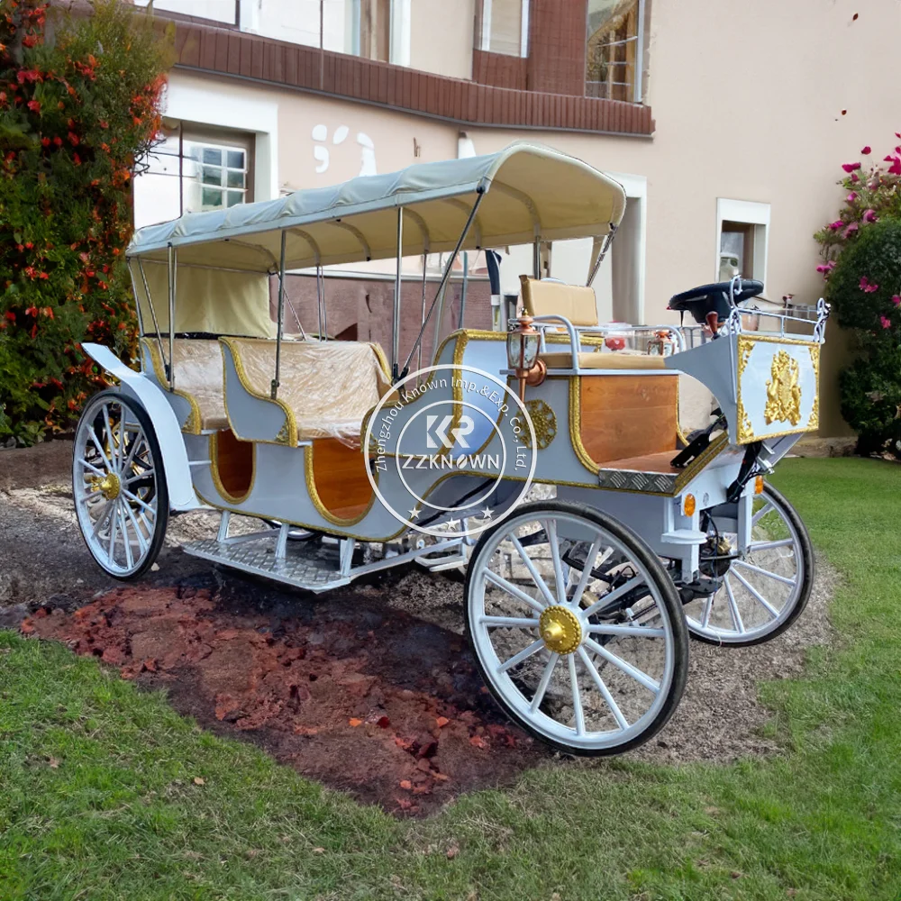 Elegant Retro European Horse Carriage Luxury Vintage Tourist Sightseeing Horse Carriage for Scenic Park