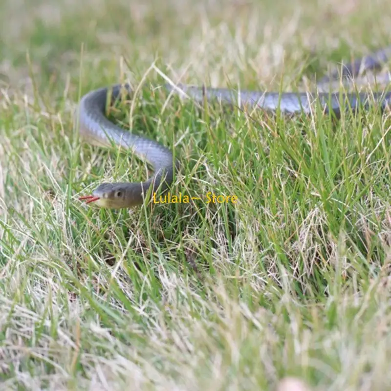 y4qa-–-ensemble-farces-serpent-golf-nouveaute-gadgets-d'avril-halloween-ficelle-serpent-chasse-aux-gens-jouet