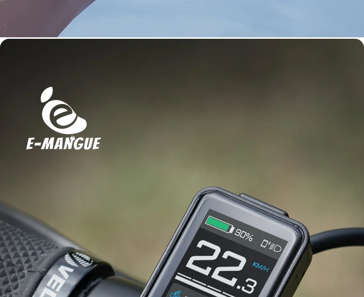 E-Bike-Display SW102T LCD-Bildschirm 0-5 Stufen für BAFANG BBS01B BBS02B BBSHD Mittelmotor E-Bike-Computer mit PAS UART-Protokoll – Detail 12
