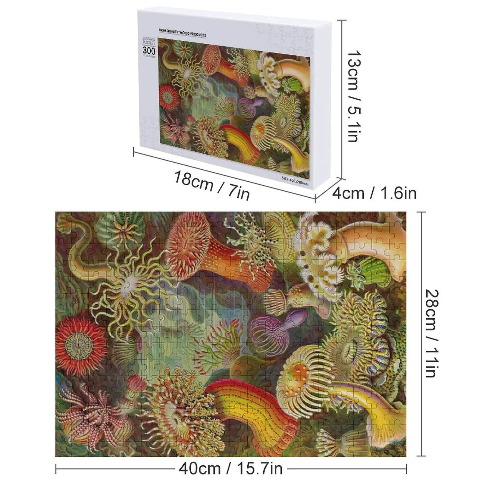 Anêmona do mar - Ernst Haeckel Quebra-cabeça de madeira para adultos Iq Crianças Quebra-cabeça de animais de madeira