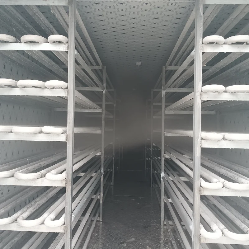 Refrigerazione commerciale ad alta efficienza Sala di raffreddamento mobile Congelatore per celle frigorifere Camminata nel frigorifero Pannelli per celle frigorifere