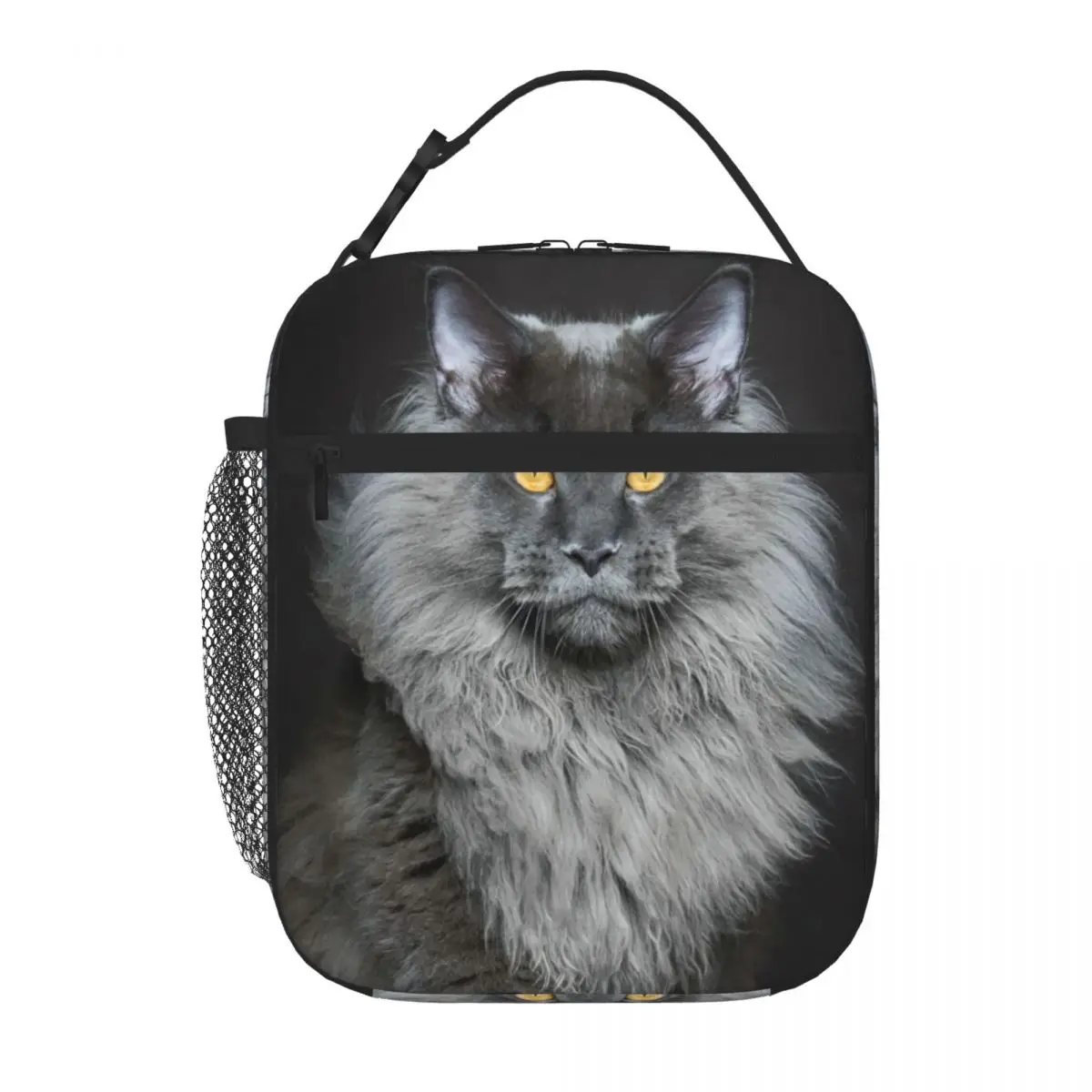 Bestselling Cat Lion Beach Industrial Style Thermal Food Carrier Office Break Picnic Lunch Bag