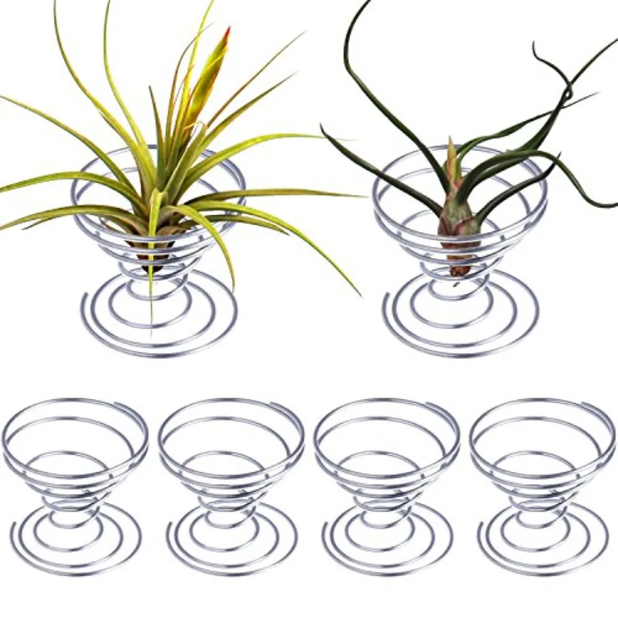 

6 Pieces Air Plant Holder Air Plant Live Holders Outdoor Stainless Steel Tillandsia Base Container Display Rack for Tropical Ho