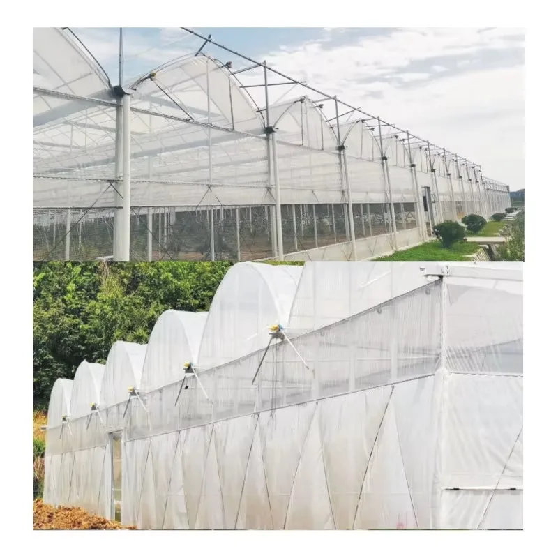 โรงเรือนเกษตรขนาดเล็กแบบม้วนฟิล์มด้วยมือ ชั้นเดียว โครงเหล็กชุบสังกะสี วัสดุเหล็กและพลาสติก PE