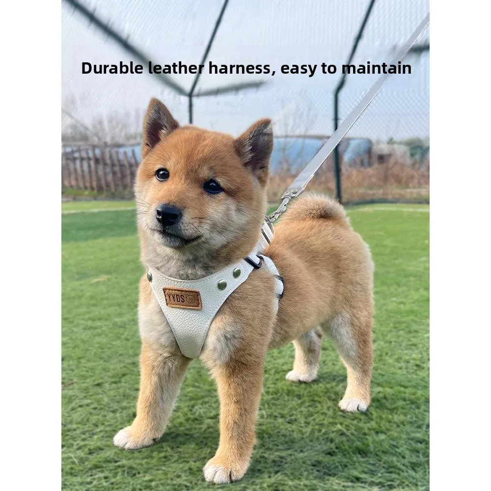 

Кожаный поводок-жилетка для собак: нагрудный ремень для померанских шпицев, бишонов, тедди и маленьких пород. Выдвижной поводок для прогулок с питомцами, стандартный размер.