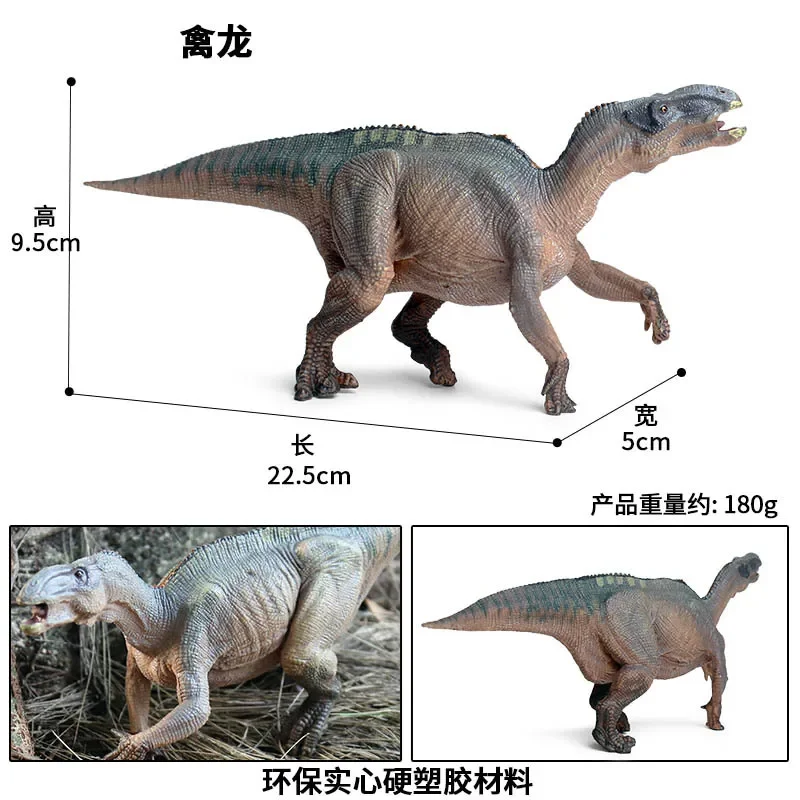 Jurassic Simulation Solid Dinosaur Toy, Ankylosaurus Rex, Modelo animal de borracha, Enfeites estáticos