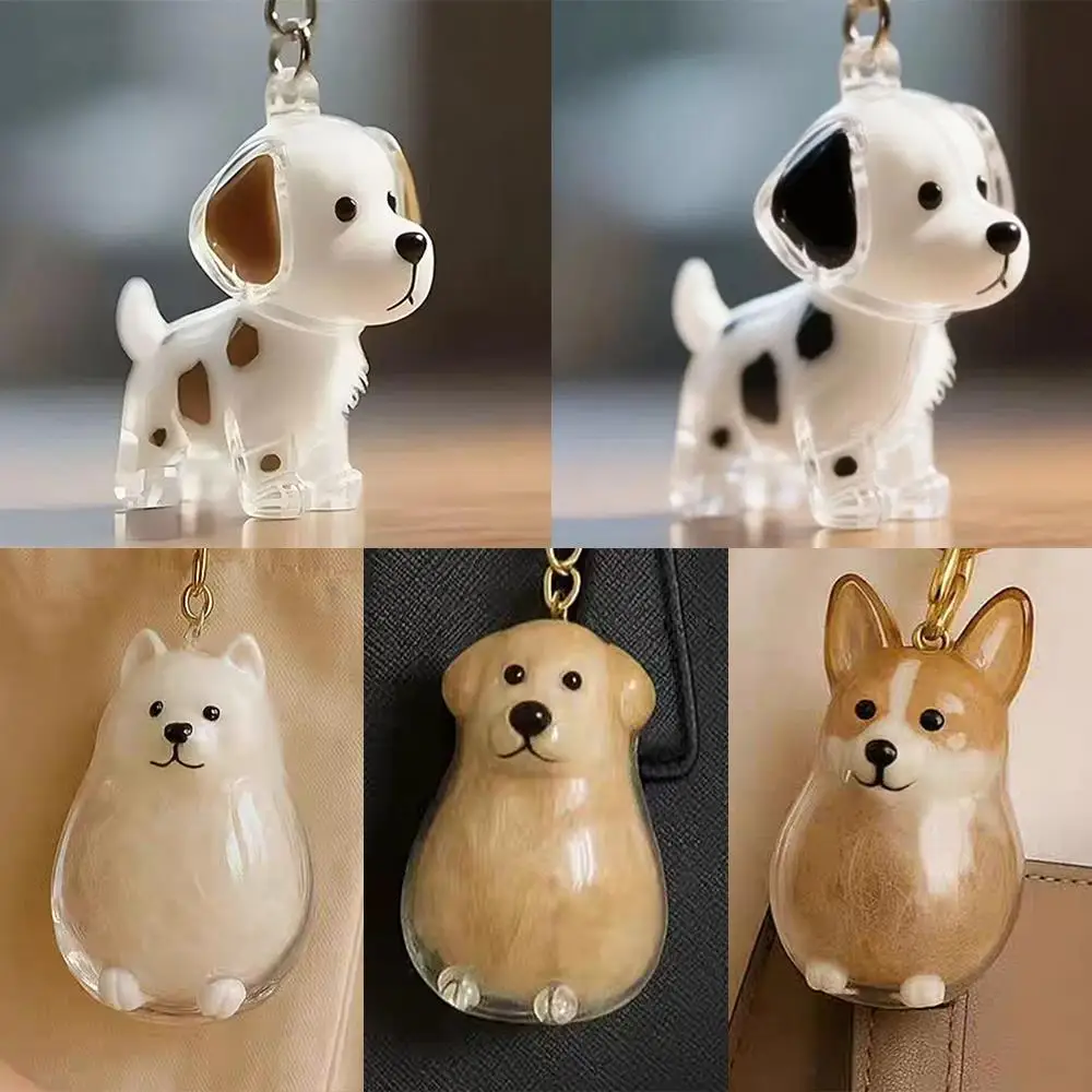 

DIY Pet‘s Dog Fur Container Pendant Keychain Decor Clear Puppy Hair Memorial Keepsake Capsule Pet Lovers Home Display Gifts