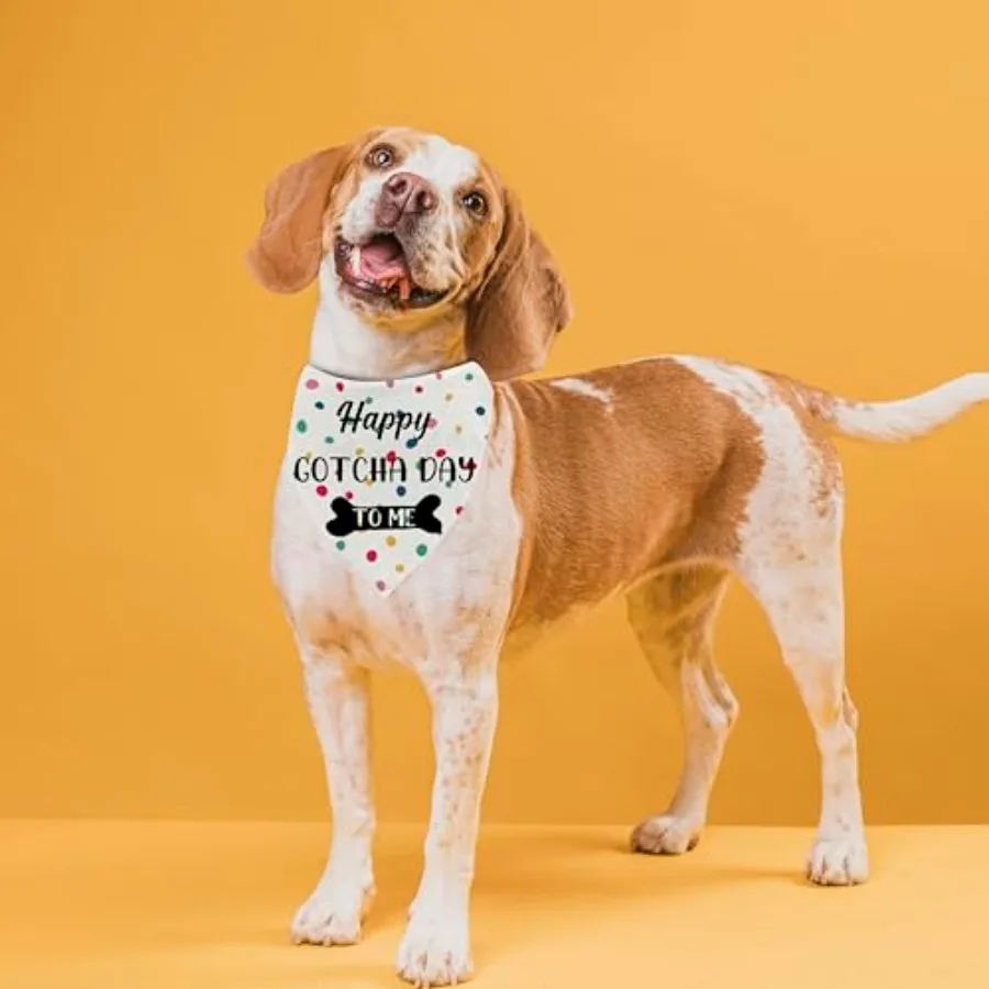 Gotcha Day Dog Banda Happy Gotcha Day to Me Dog Bandas لـ Adoption وشاح للحيوانات الأليفة صور الدعامة للكلاب هدايا عيد الميلاد لـ Adoption
