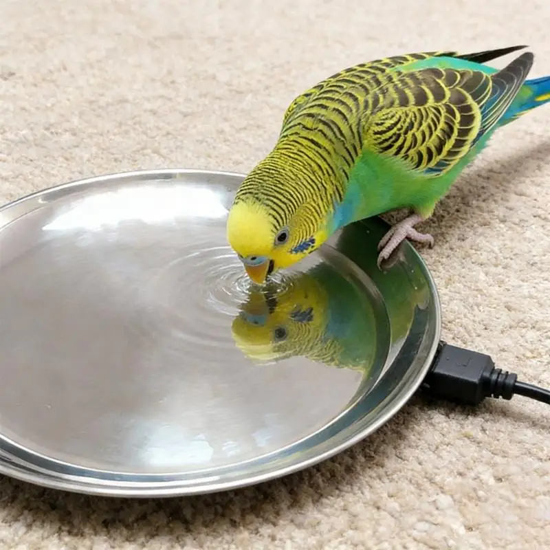 

Winter Resistant Warm Pet Drinking Tray Thermals Heated Water Bowl Easyly Clean for Chickens Ducks Birds Y5GB