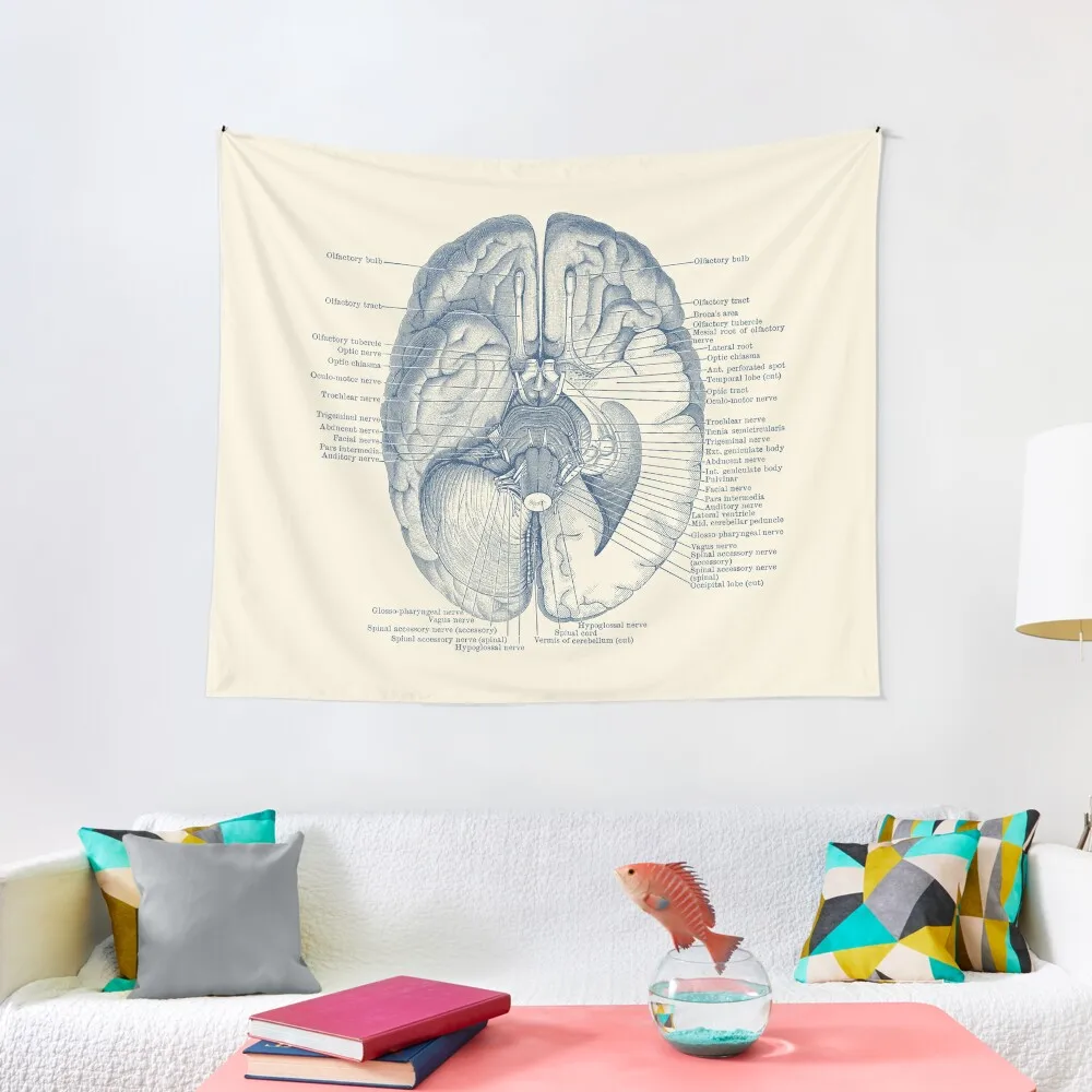 Brain Nervous System Diagram Tapestry Bedroom Decoration Japanese Room Decor Bedrooms Decorations Aesthetic Decoration Tapestry