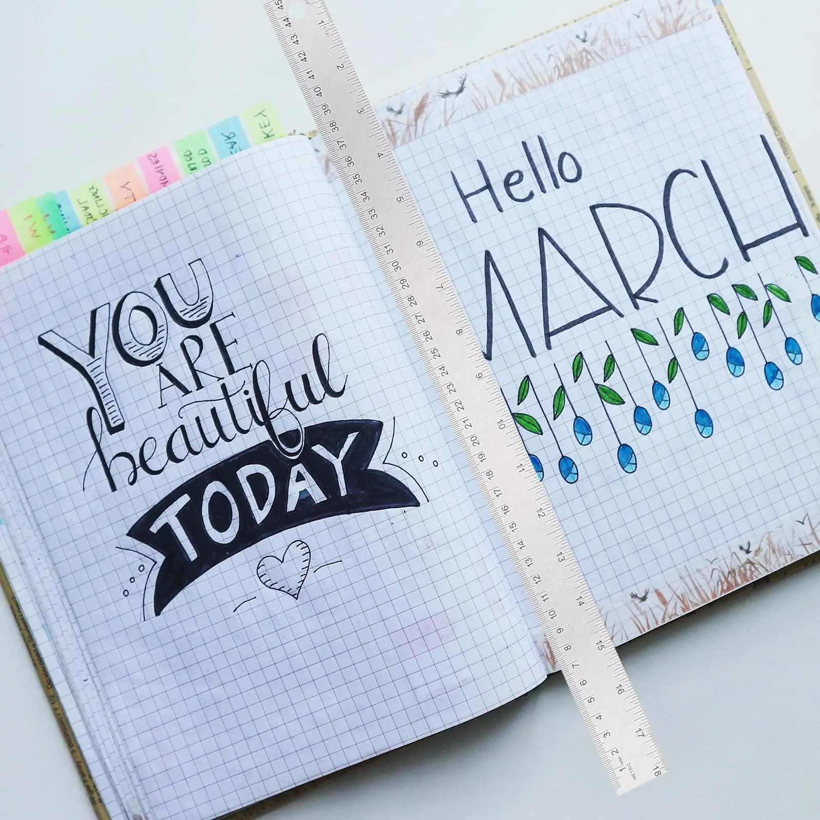 2 Pcs Precision Cork Stainless Steel Ruler Student Back Wooden Straight Edges Rulers