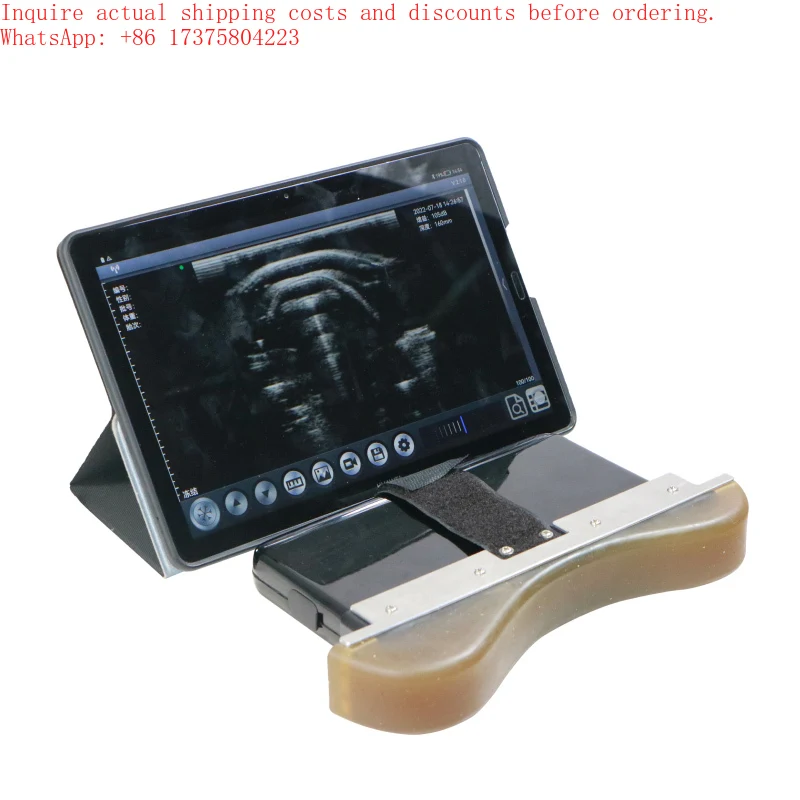 2026 IECI-E128 Wireless Loin Eye Muscle Measuring Gauge Pig 5200mAh Battery 1 Year Warranty CE Certified Class I Commercial