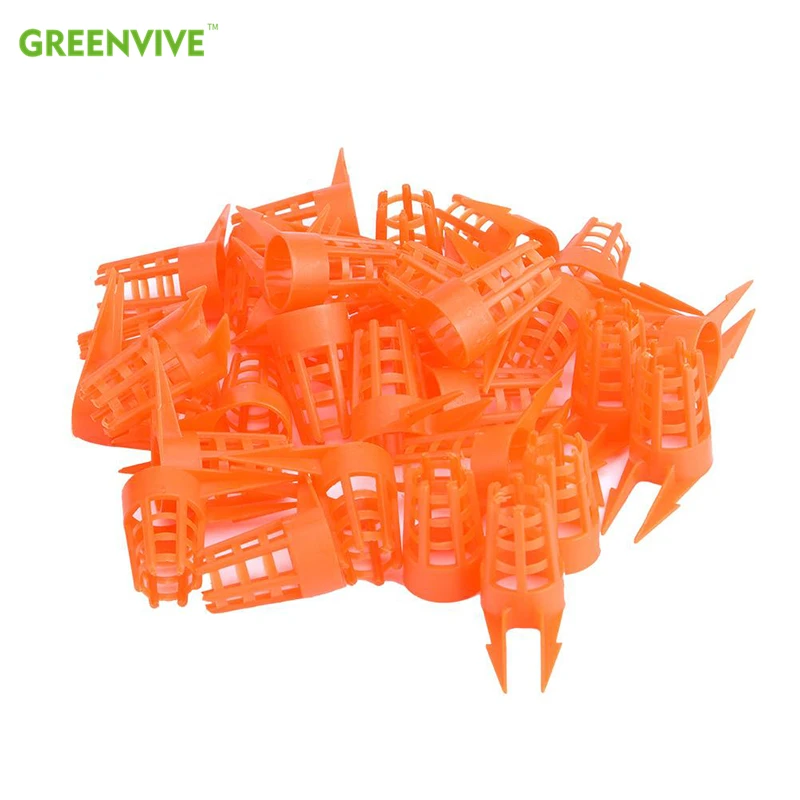 

20 Pcs/Set Bee Queen Cap Protective Cell Cover Beekeeping Tools Beekeeper Equipment Plastic Cage Beekeeping Supplies C42