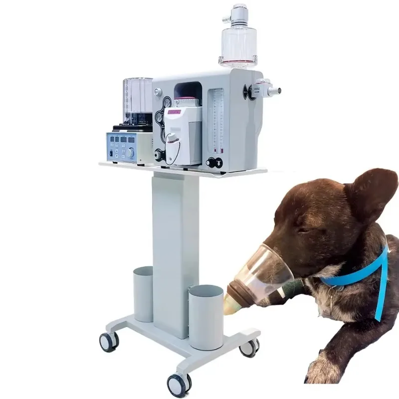 

Veterinary Anesthesia Machine Portable Device Anesthesia Medical Equipment