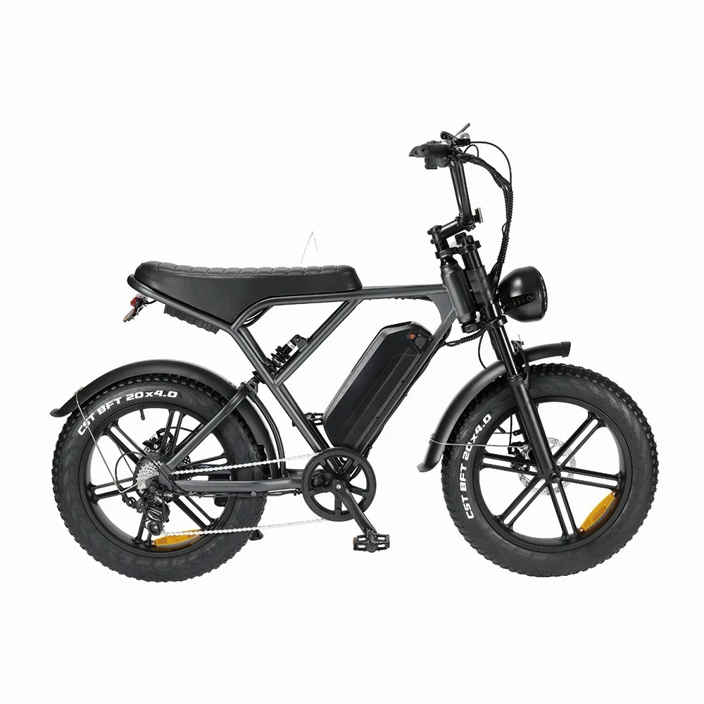 Full Suspension Ebike Electric Fat Tire Bike Elektrisch Fatbike 1000W E-bike 48V Fat Bike for Adults