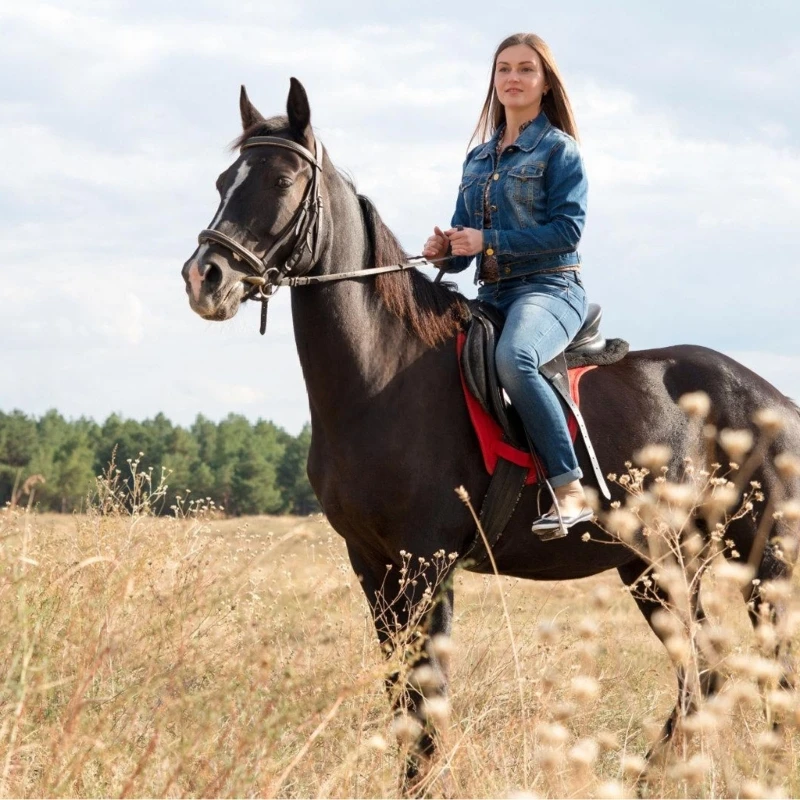 Бронзовые шпоры для лошадей в стиле вестерн с немецким акцентом, ретро-экипировка для наездников для любителей верховой езды