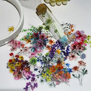Transparente Innentinte Blume Cartoon Graffiti -Aufkleber, Telefon, Gitarre, Notizbuch, Koffer, Wasserflaschen, undurchlässiger Kleber, 50pcs 8 Hauptaufkleber für Schmerzen - №5