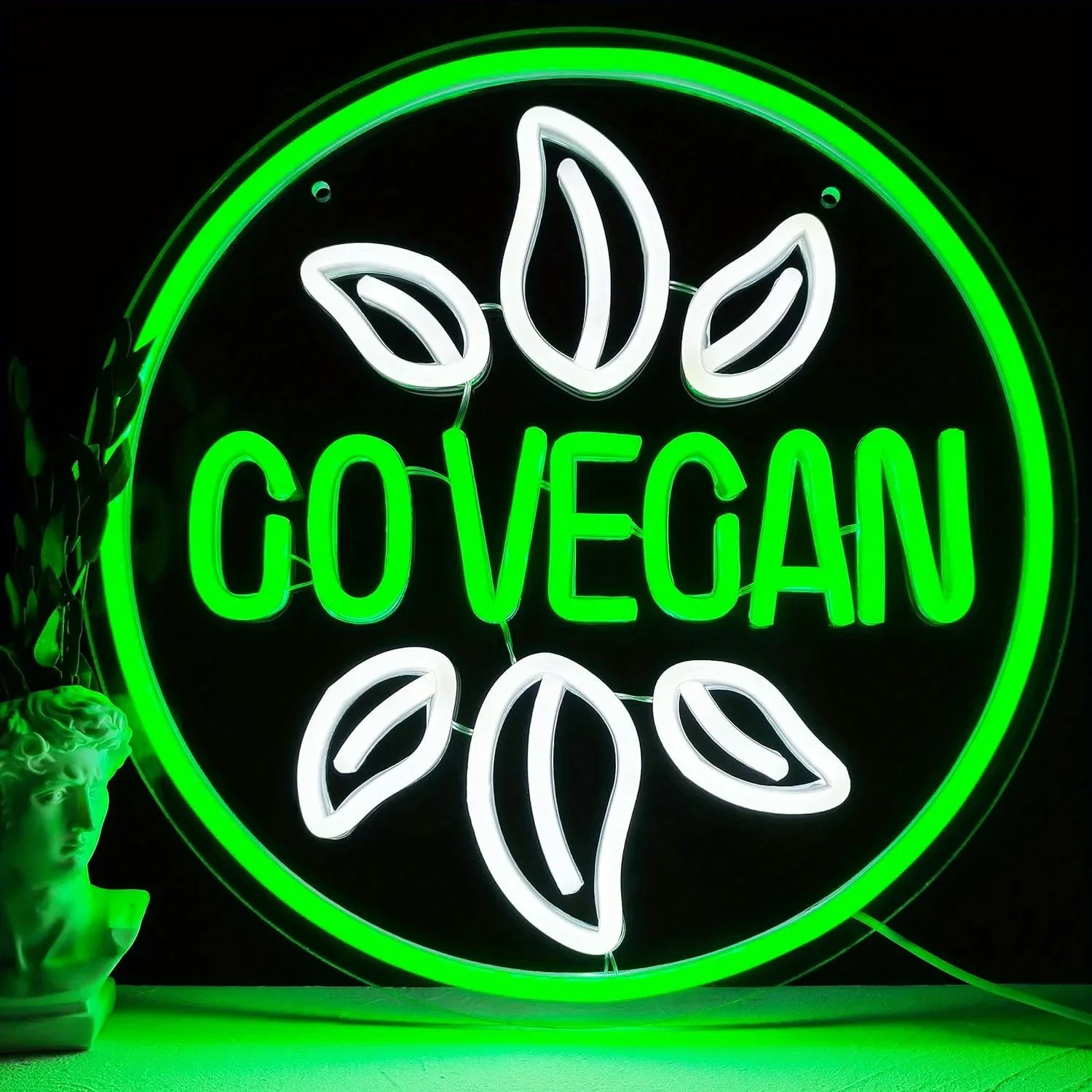 

Go vegan neon signs, open neon signs for wall decorations, indoor LED nightlights word light signs handmade commercial neon sign