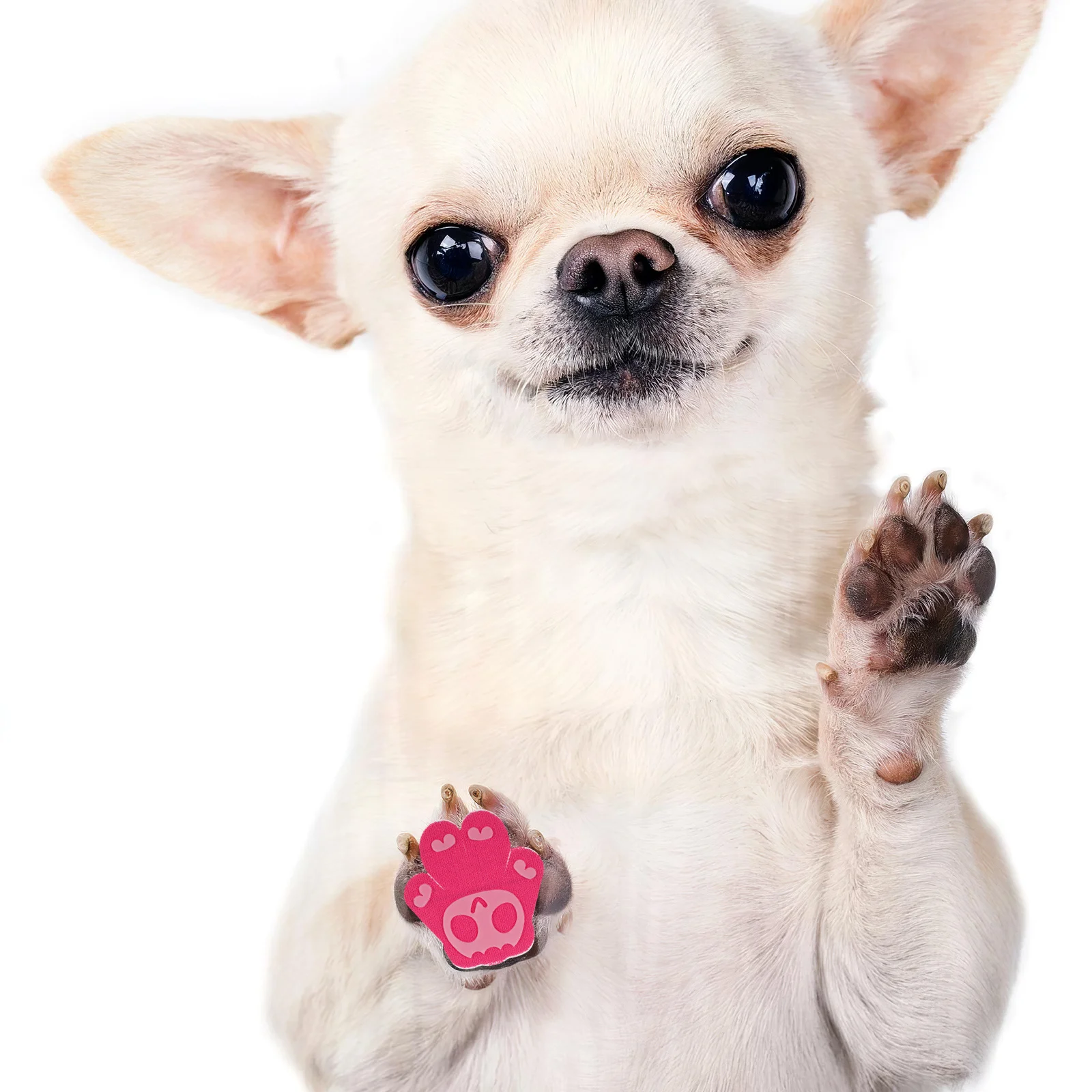 

40pcs Pet Anti-Slip Paw Pads Transparent Dog For Hardwood Floors Outdoor Activities Dog Foot Protectors Paw