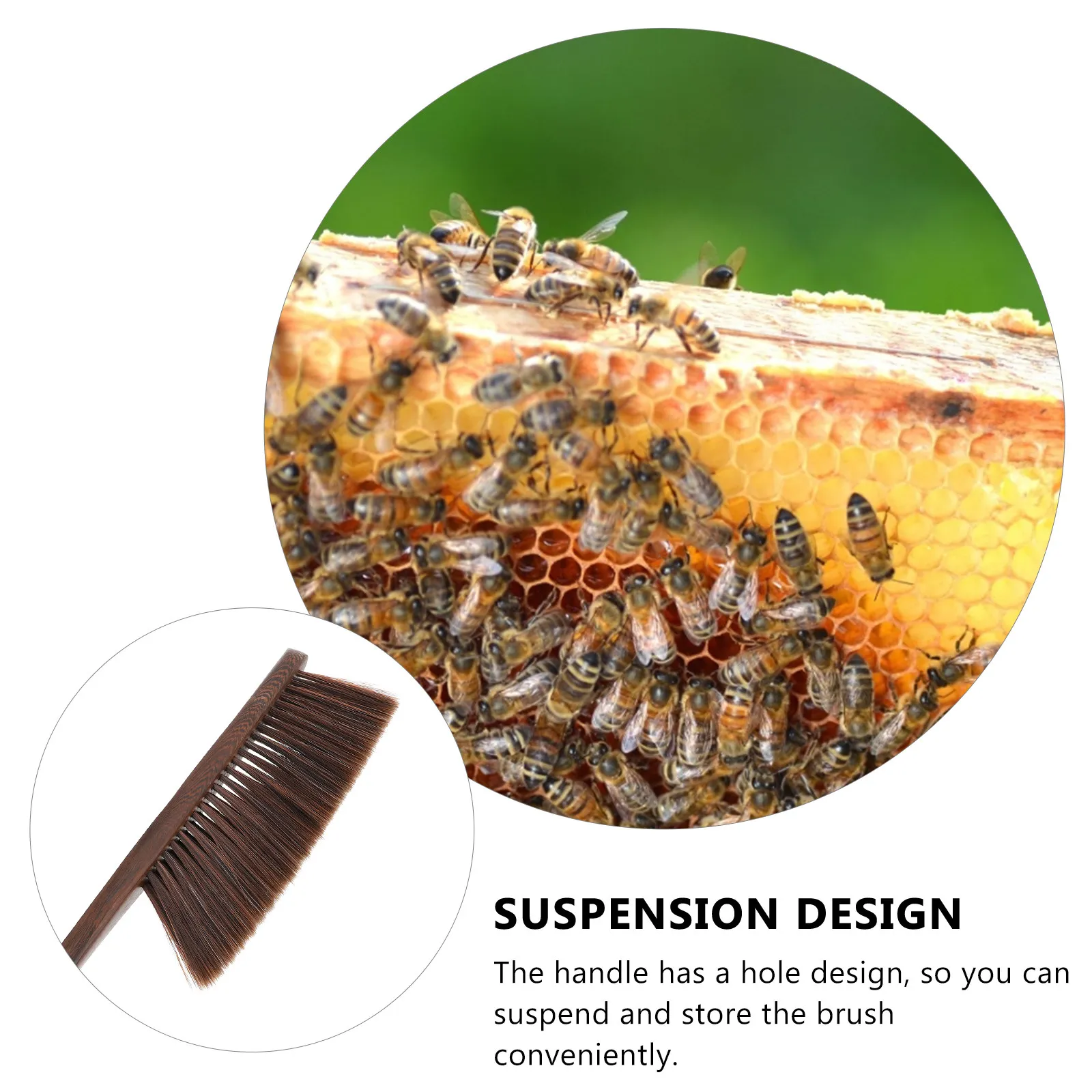 1Pcs Premium Beekeeping Brush with Solid Wood Handle Sturdy Bristles Hang Hole Design Easy Clean Beekeeper Supplies Tool