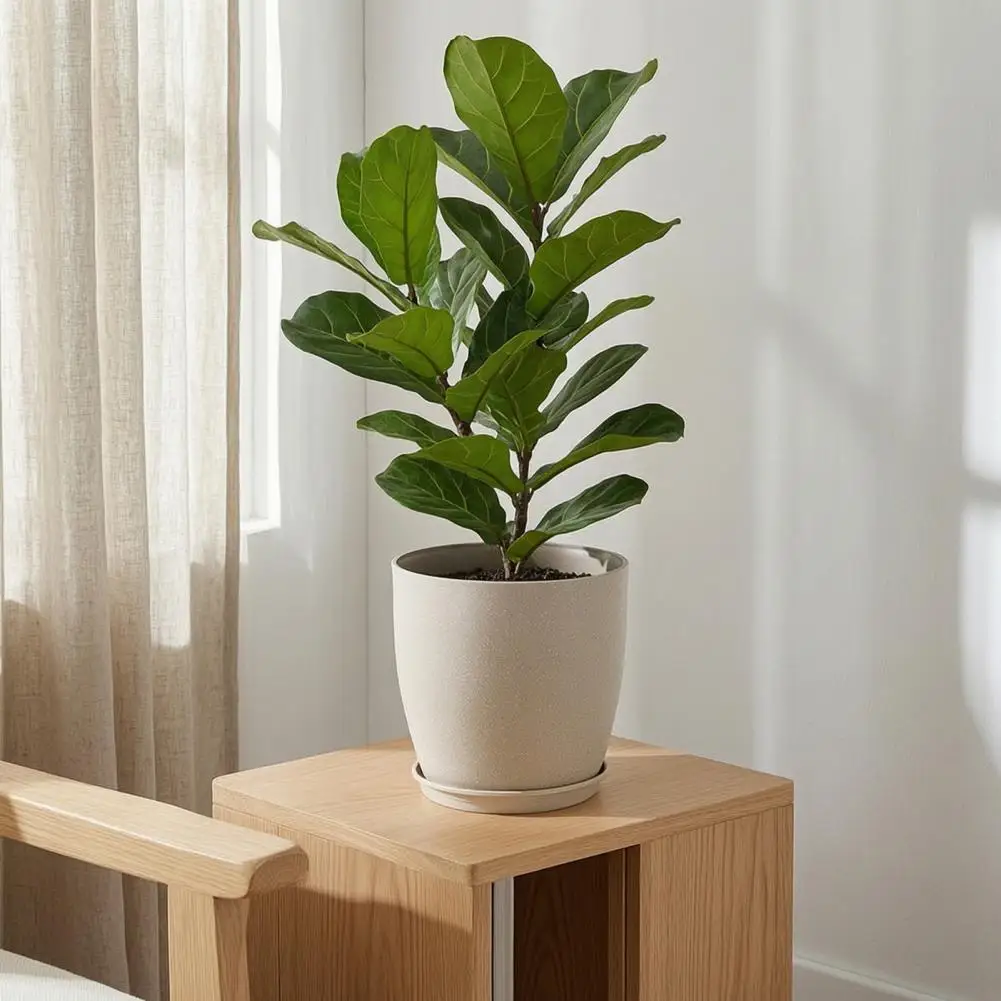 Home Decor Pots for Entryway Indoor Planters for Plants Modern Stone-look Plant Pot with Saucer Gray Flower Planter