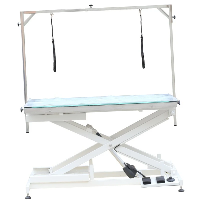 

Stainless Steel Grooming Table, with LED Light and Electric Lifting System