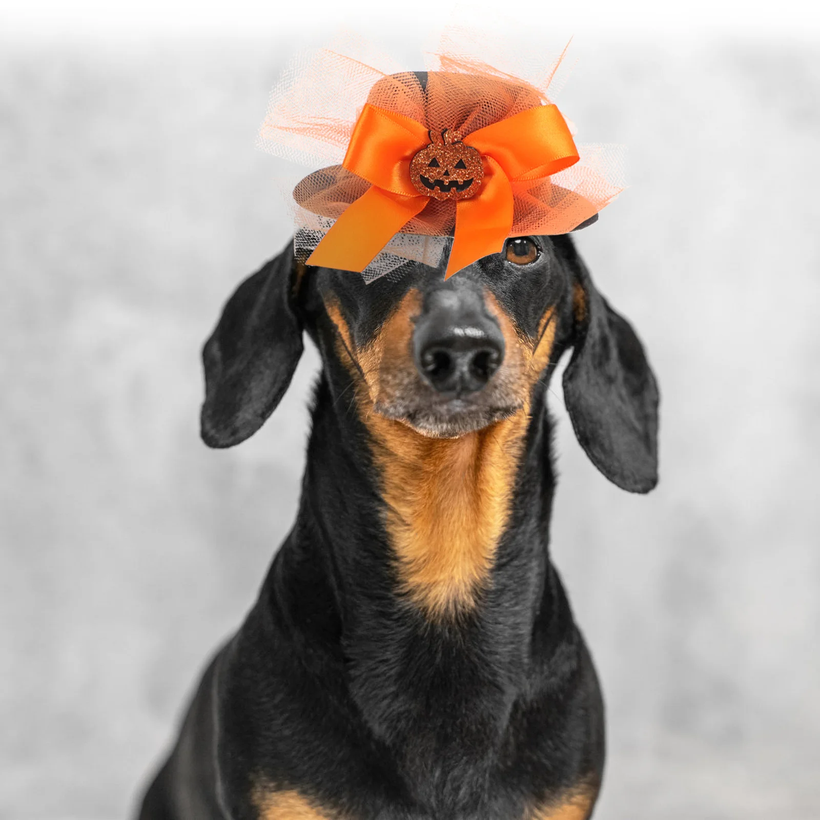 

1Set Halloween Dog Tutu Skirt Hat Pet Costume Cute Small Dog Cat Party Festival Cosplay Outfit Halloween Pet Costume