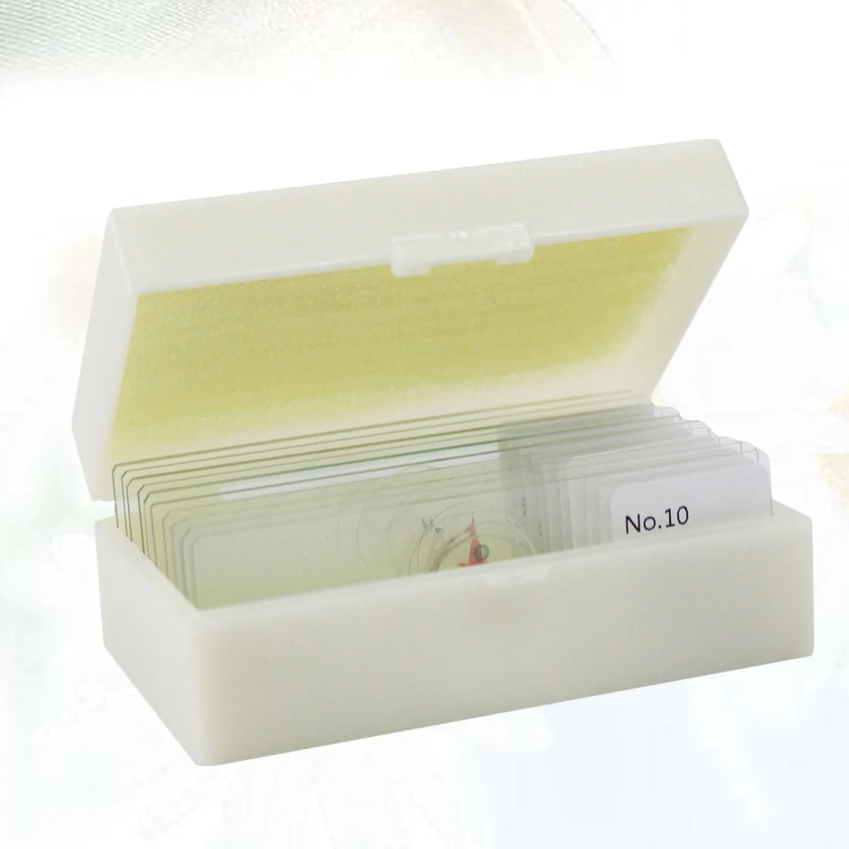 

10Pcs Glass Microscope Specimens Slides Biology Samples for Educational Purposes Kids Sample Specimens Biology Prepared Slides