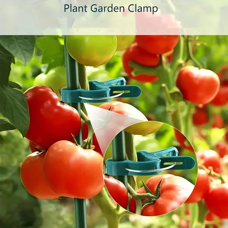 50/20/10pcsPlant Clips for Climbing Plants, Gardening Tools for Supporting Straightening Plant Stems Stalks Vines Flower Trellis