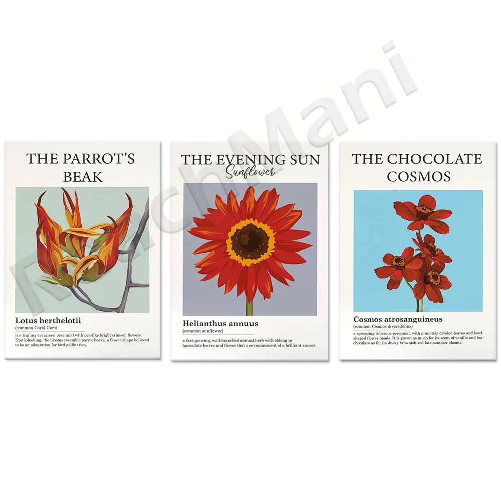 Cartel del universo de chocolate, girasol rojo, cartel de flores exóticas, pico de loro, cartel de decoración del hogar de pared