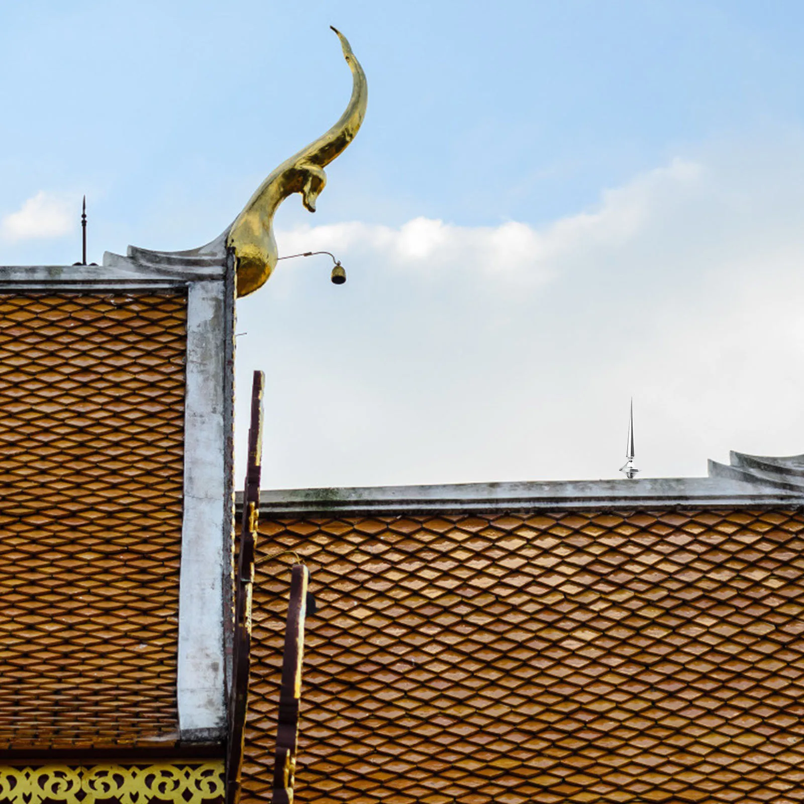 قضيب حماية للرعد من الفولاذ المقاوم للصدأ، جهاز حماية متين، أداة منزلية للسلامة ومقاومة الصقيع #6