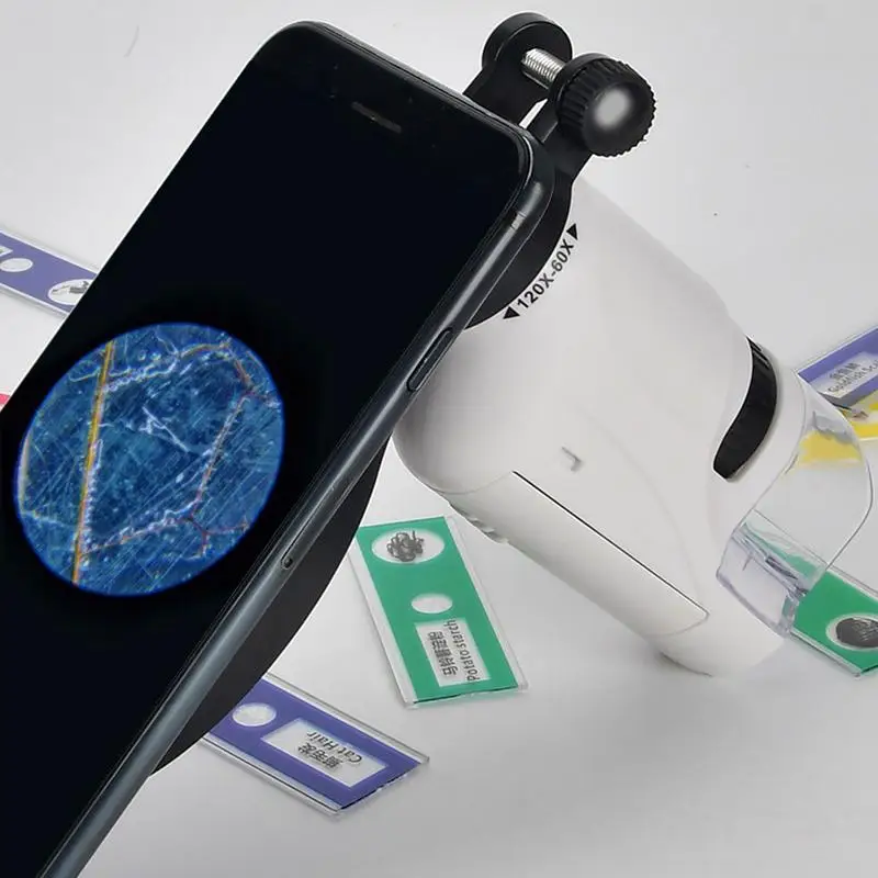 Children Portable Microscope Portable Microscope 60X-120X Magnification Field Microscope For Students Research Project