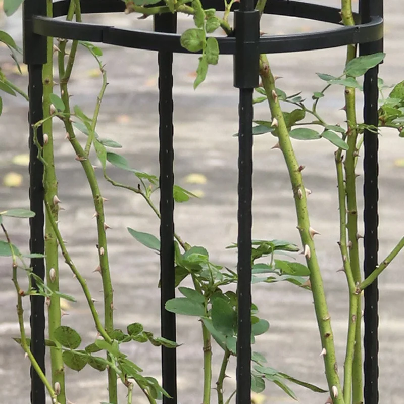 Utwardzone Obelisk łukowe krzewy róż wspierają rośliny pnące metalową kolumnę nośną dla roślin warzywnych