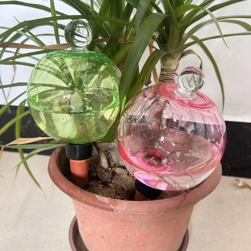 QX2E Automatic Watering Bulb Spikes for Houseplants Succulents and Planter Soil Care