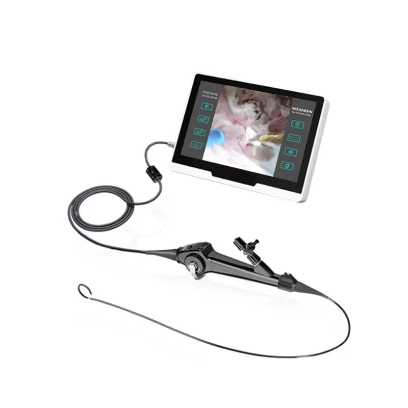 Longermay Flexible Video Ureteroscope Urological