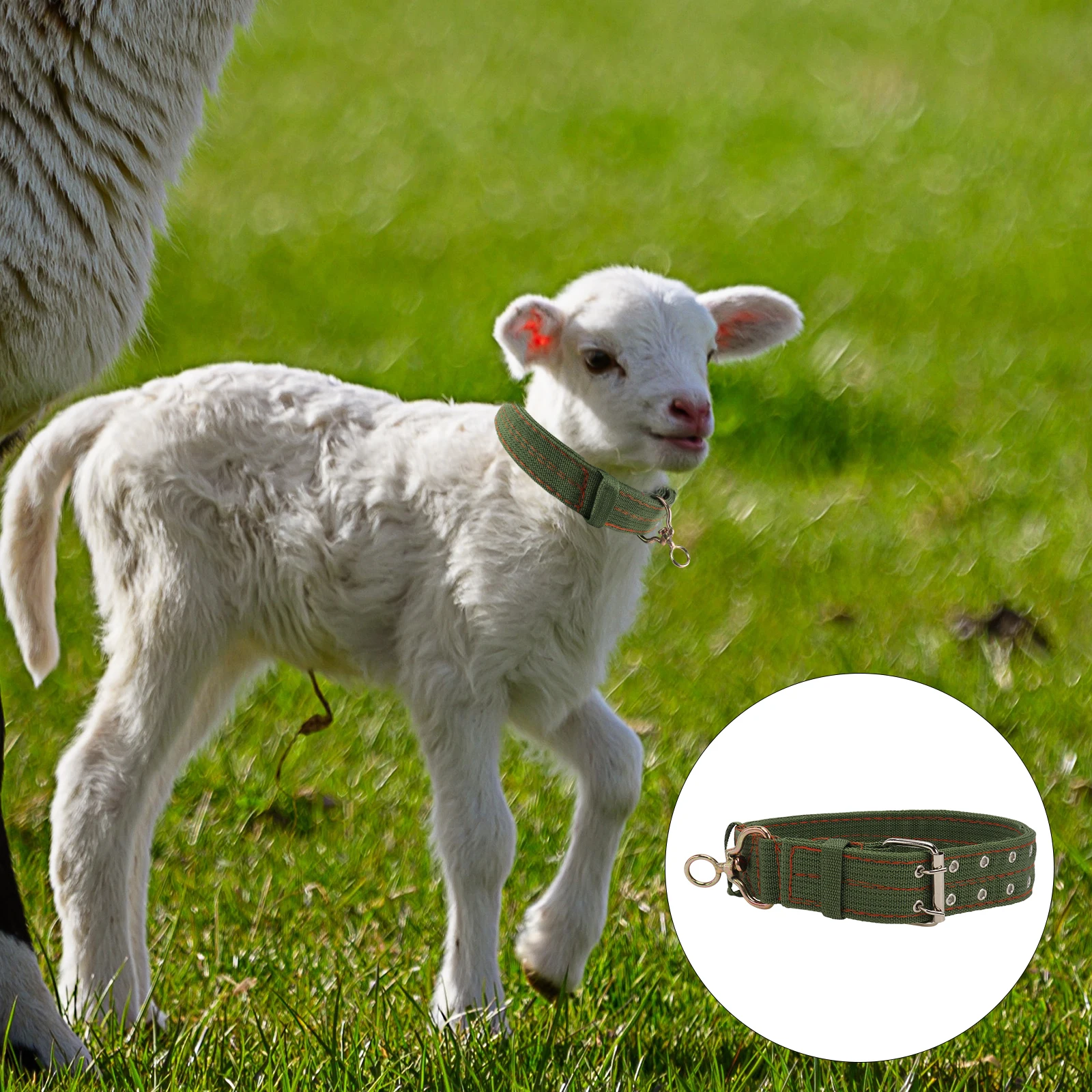 

Adjustable Sheep Neck Collar Halter Thickened Durable Cow Traction Rope Horse Safety Harness Explosion-Proof Buckle Waterproof