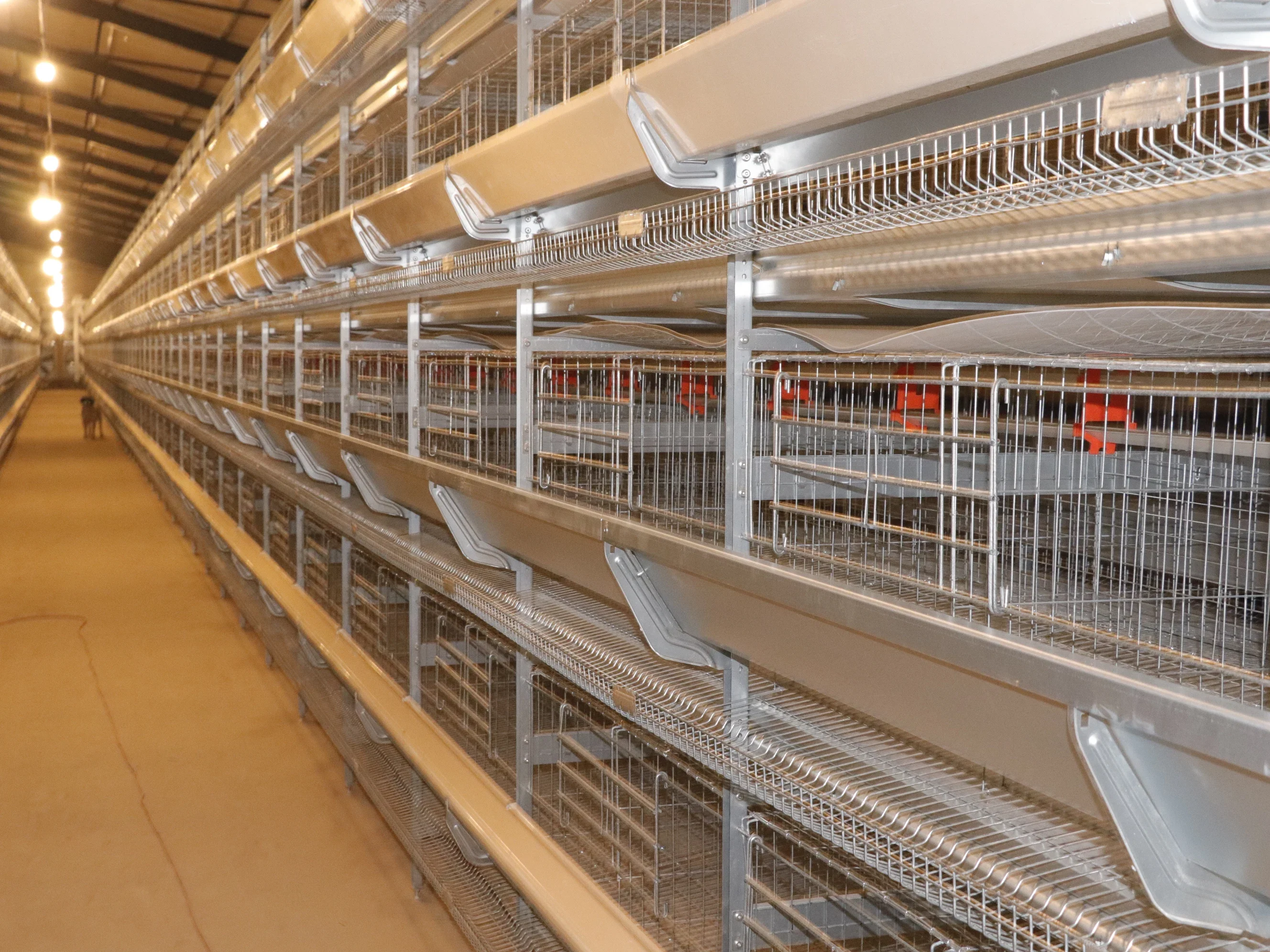 H type poultry layer cage chicken cage with automatic feeding drinking system for chicken farms