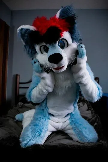 

Long Fur Blue White Wolf Husky Dog Mascot Costume Adult Cartoon Character Advertisement Public Halloween Outdoor Prop