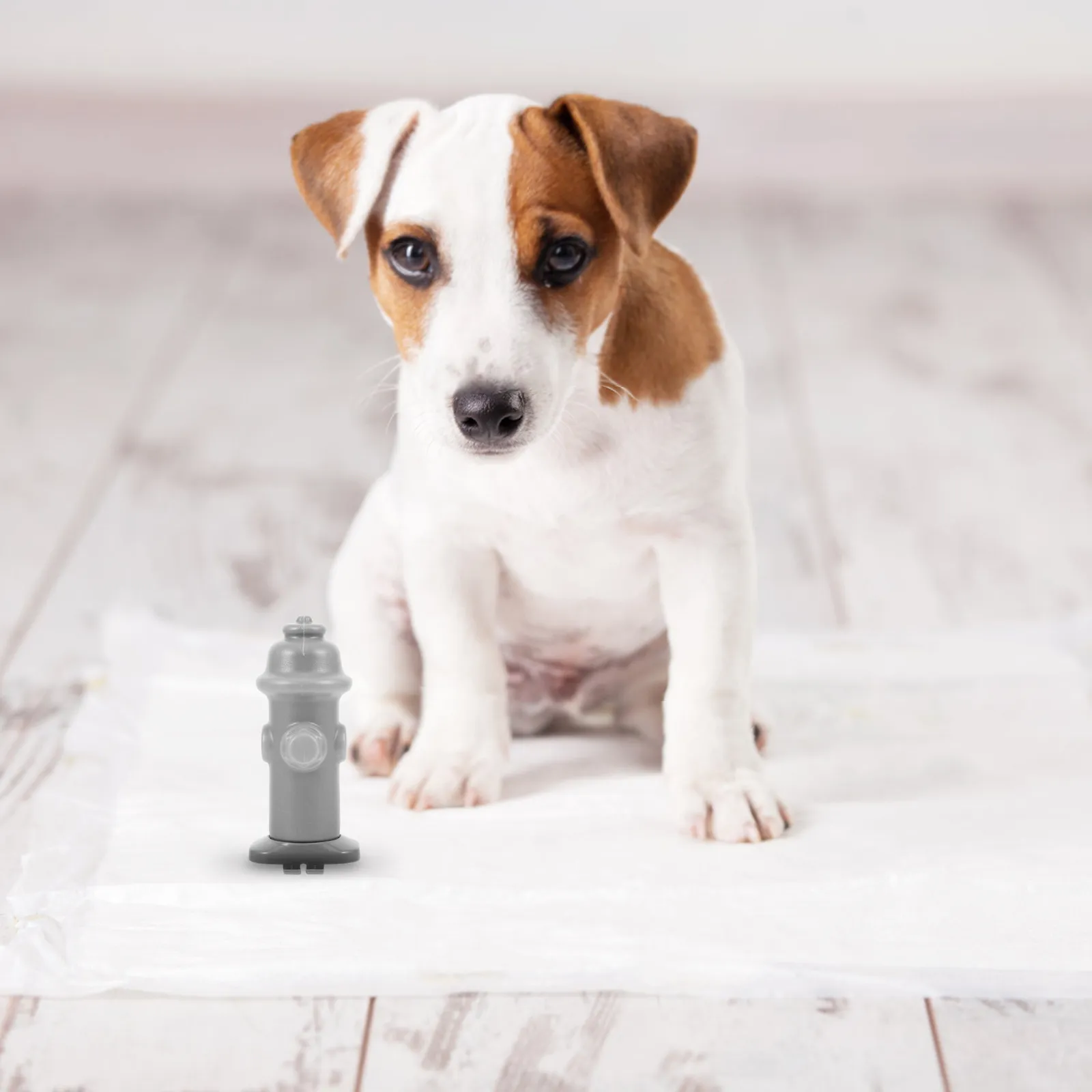 Dog Toilet Tray Training Urine Column Potty Pet Accessory Bathroom Station Indoor