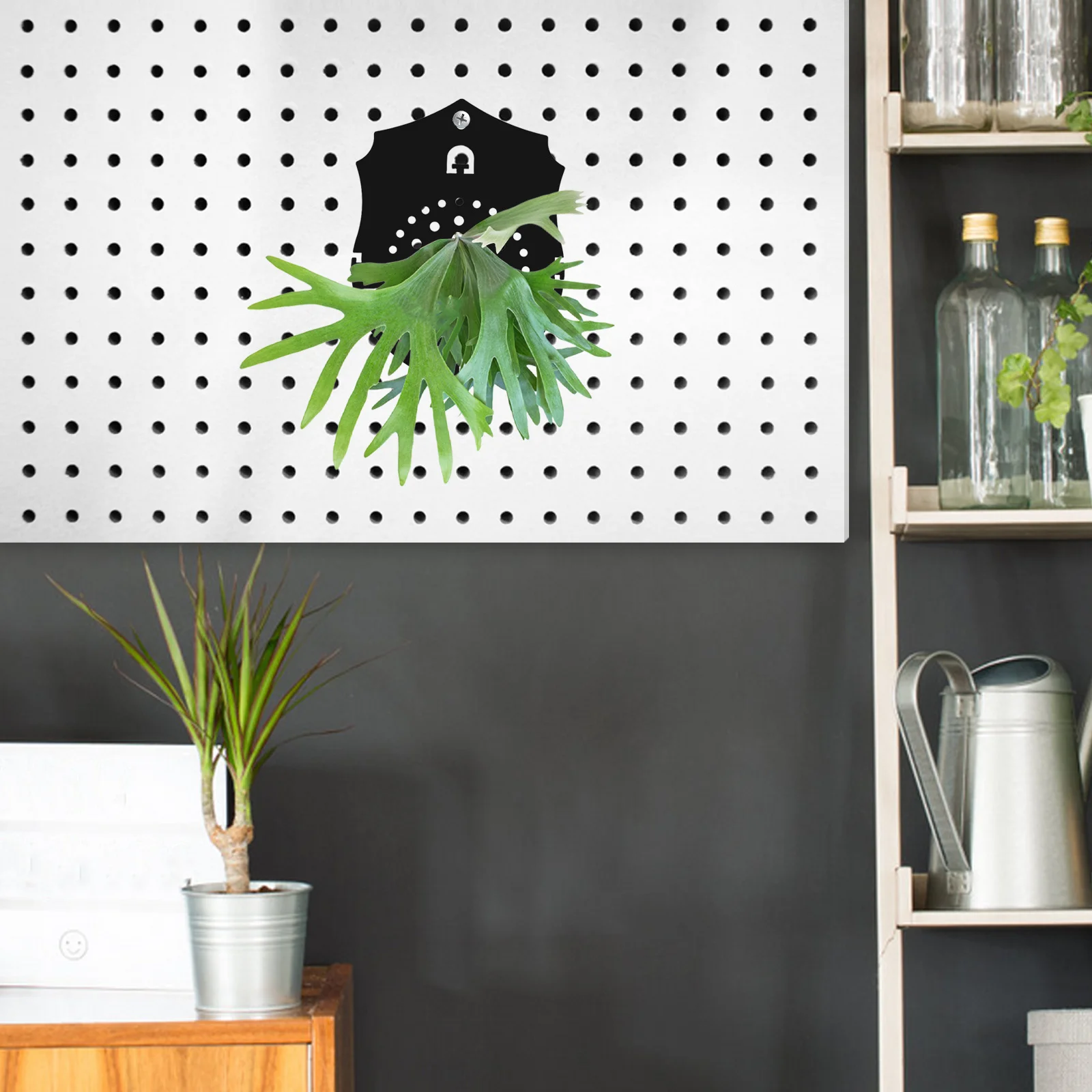 

Frosted Black Acrylic Staghorn Fern Planting Board Wall Planter Indoor Plant Stand Easy Install Rustic Home Decor Vertical