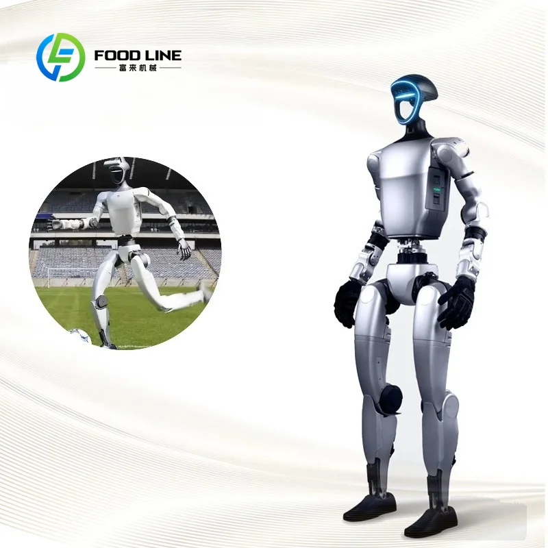 Artificial Intelligence Research Robot Humanoid Agent AI Avatar for Education Business Customized Silver custom stickers
