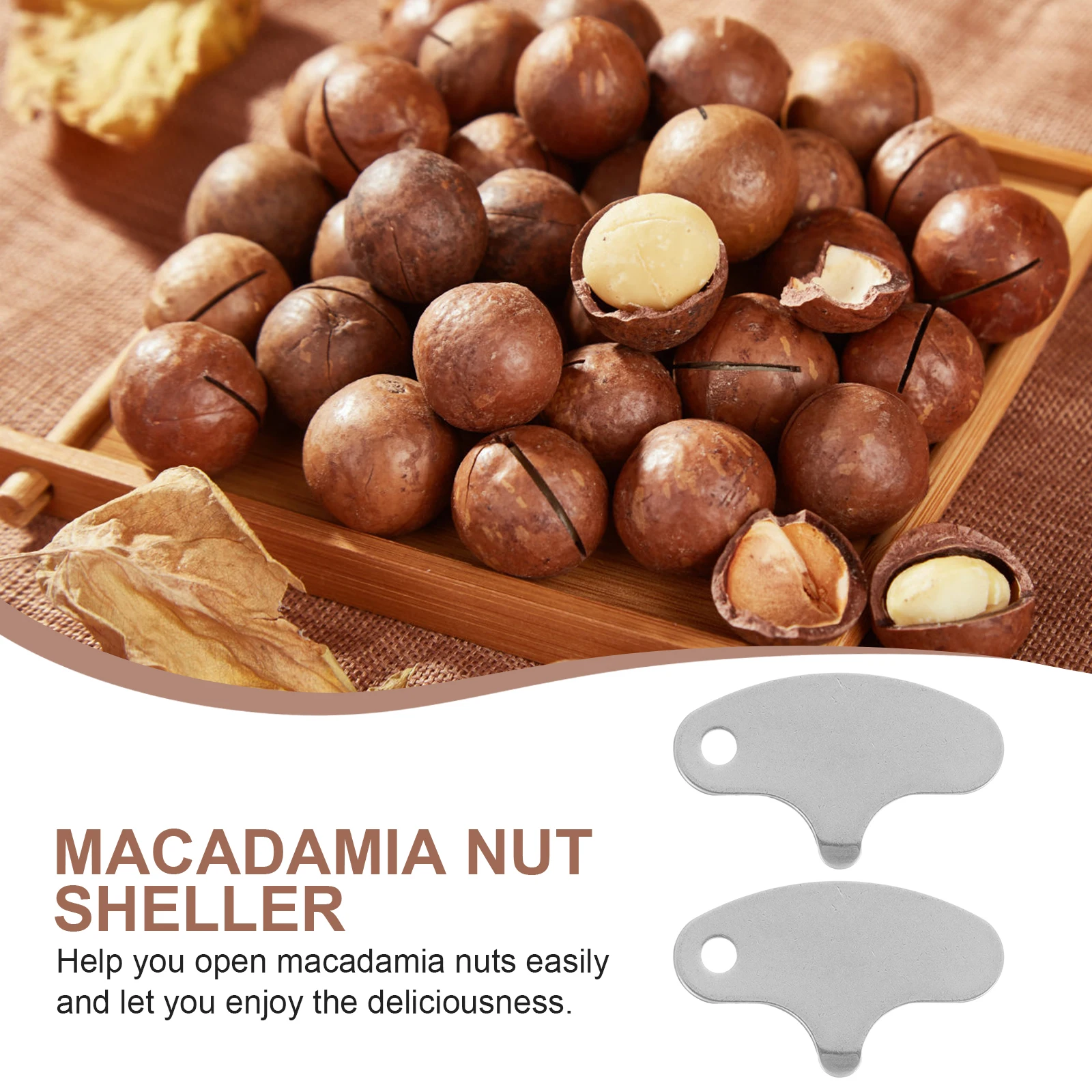 

25Pcs Macadamia Nut Openers Stainless Steel Walnut Pecan Chestnut Opener Smooth Surface Easy to Use Chestnut Cutter