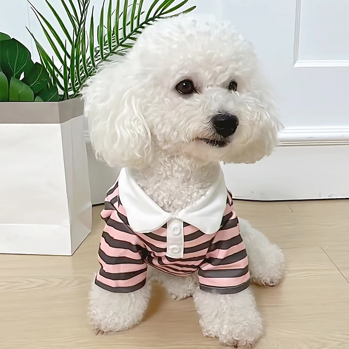 Dog Clothes Teddy York Shire Polo Shirt Summer Dress Striped Pet T-Shirt Dog Costume Soft Pullover Suit for Dog Puppy