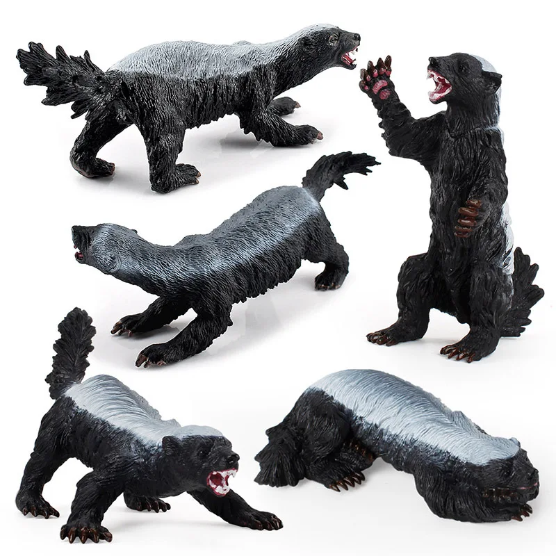 Simulation Wildlife Animals Honey Badger Figurine Action Figure Children's Educational Cognitive Model Toy Ornament Kids Gift