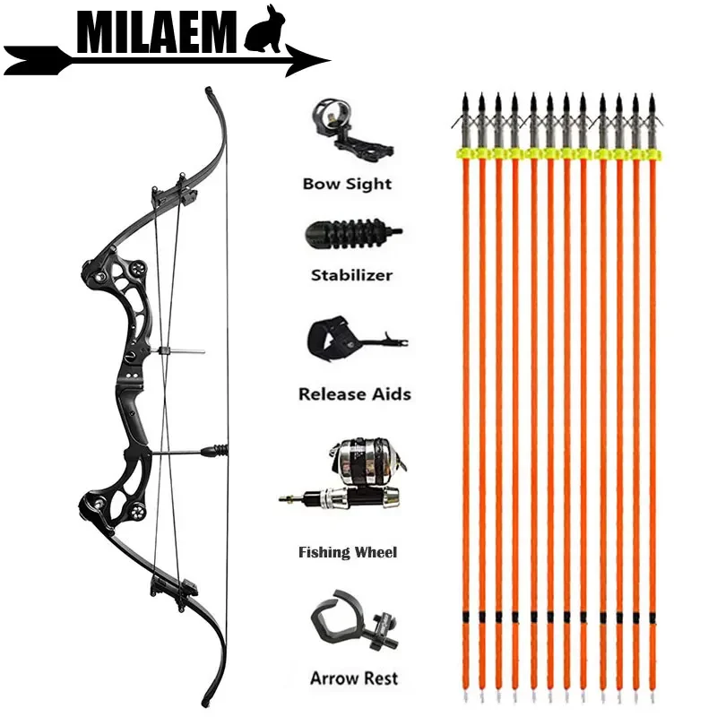 30-55lbs Archery Compound Bow Recurve Bow Shooting Hunting Fishing 320FPS Target Shooting Bow and Arrow Accessories