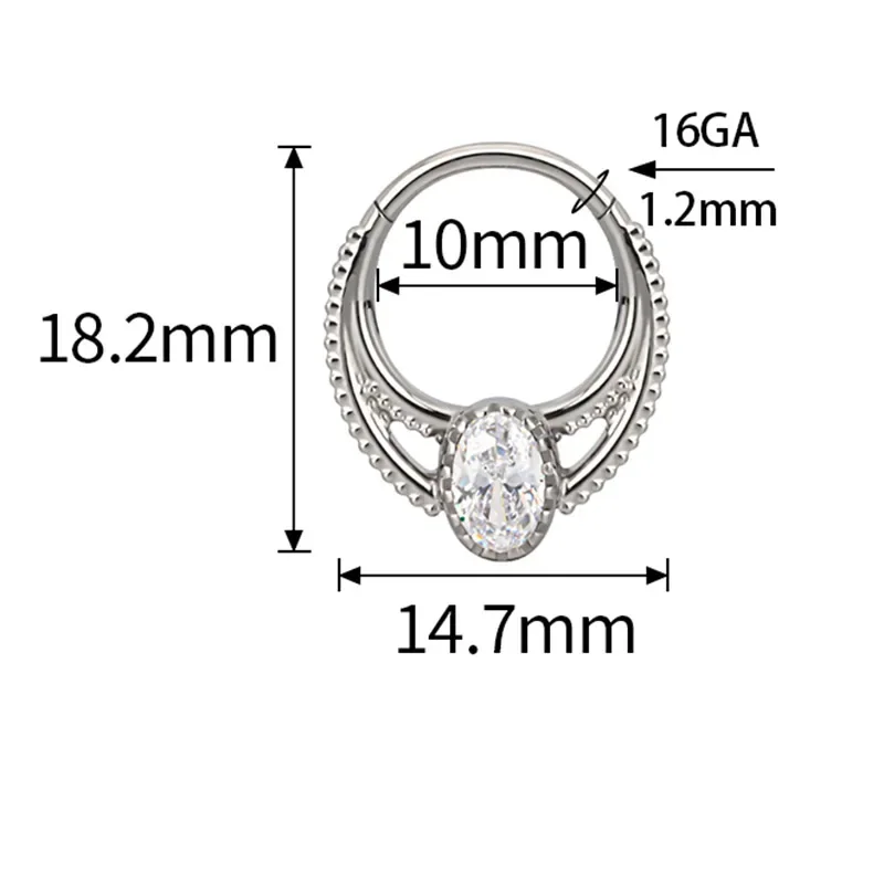 ASTM F136 Titanium EAR PIERC Fan-shaped and side CZ Ring Hoop Nose Rings Hinged Clicker Earring Labret Tragus Ring Body Piercing