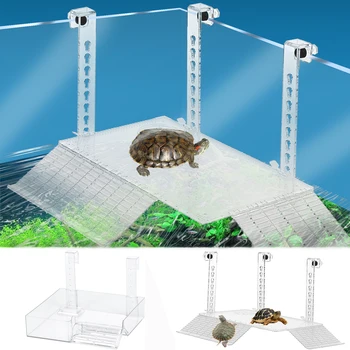 Acrylic Turtle Dock 1