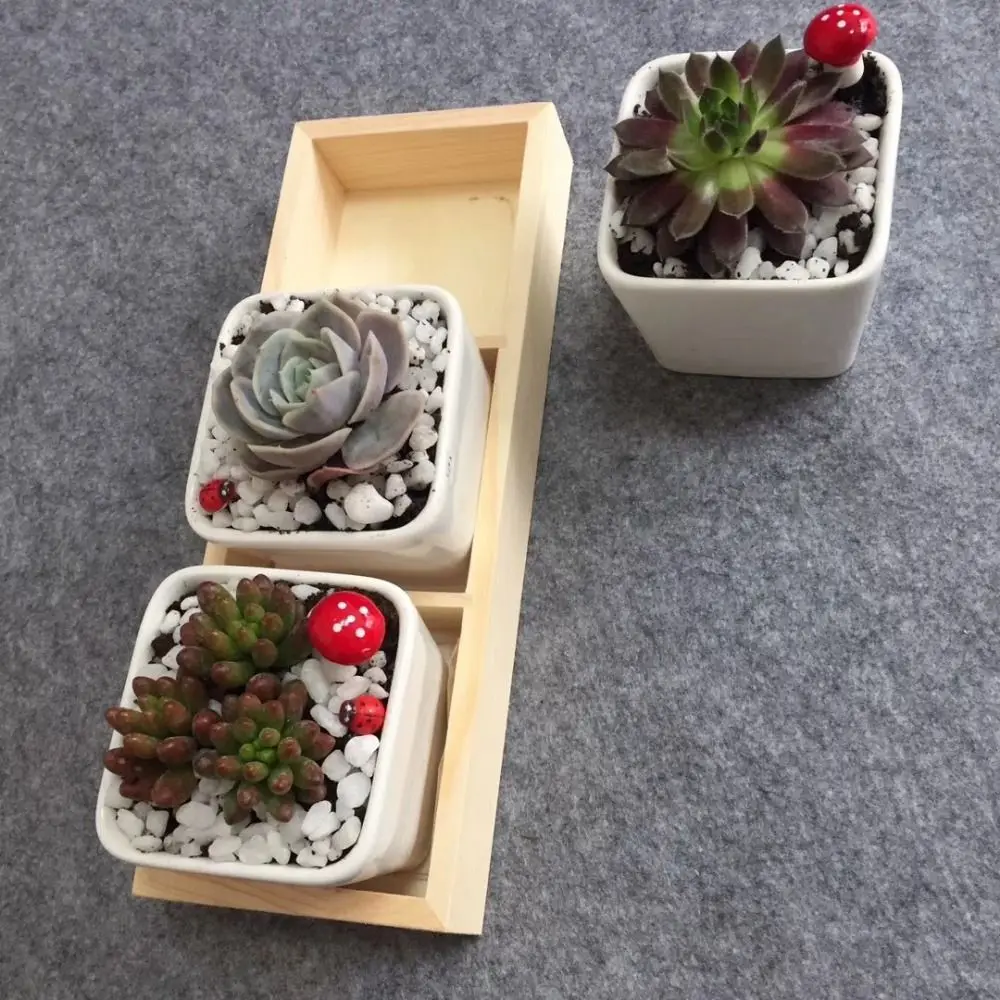 Multifunctional Succulent Flowerpot Tray Wood Plant Pot Stand Desktop Sundries Organizer Cosmetic Tool Storage Divided Drawer