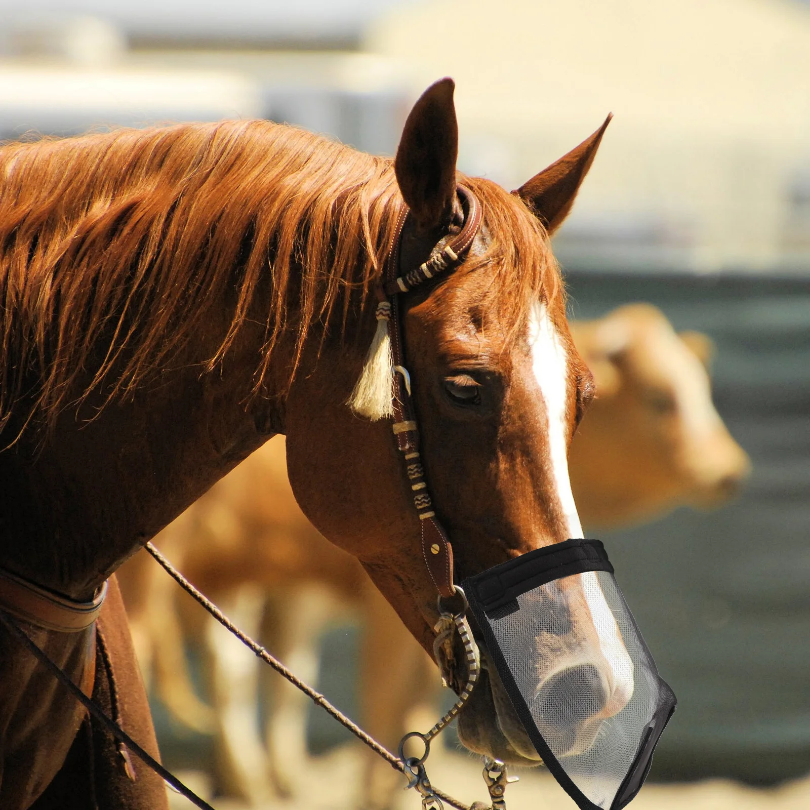 قناع شبكي للوجه على شكل حصان قابل للتنفس، تصميم مطاطي، حماية كاملة للعين والأنف، غير ضيقة، ملحقات ركوب الخيل في الهواء الطلق