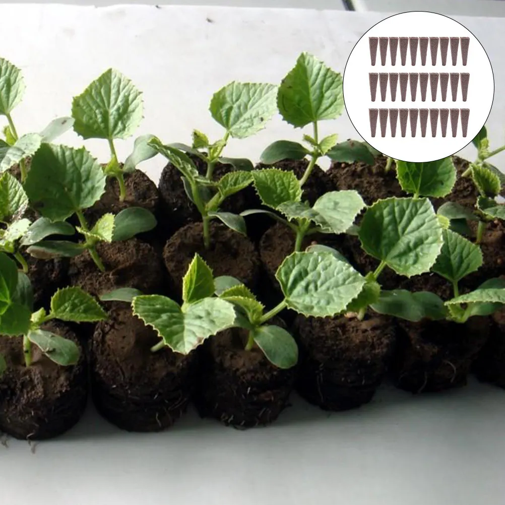 50 Piezas de Bloques de Turfa para Viveros, Carbón Vegetal Bioactivo, Sustrato Nutritivo Comprimido, Pellets de Turfa para Plantas, Suministros de Jardinería para Trasplante